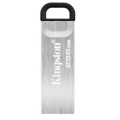 金士顿(Kingston)U盘DTKN 256GB